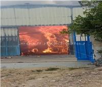 حريق هائل بمصنع للكرتون بمدينة السادات