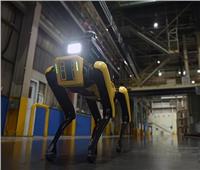 الروبوت SPOT «مسؤول سلامة» بمصانع كوريا الجنوبية | فيديو