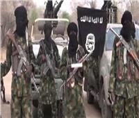مقتل 8 جنود نيجيريين في هجوم لتنظيم «داعش» الإرهابي شمالي البلاد