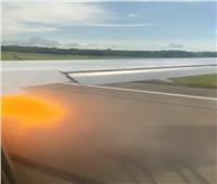 بسبب طائر كوبي.. محرك طائرة يشتعل وإلغاء رحلتها إلى موسكو | فيديو