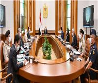 الرئيس السيسي يوجه بتوفير الموارد اللازمة لدعم وتطوير صناعة الدواء في مصر
