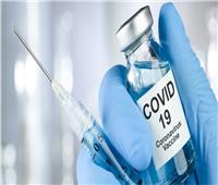 منظمة الصحة العالمية تبدأ تحقيقًا جديدًا في أصول تفشي فيروس كورونا