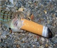 صورة مدهشة.. ثعبان يدخن السجائر
