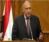 «شكري»: لقاء الرئيس ومستشار الأمن القومي الأمريكي فرصة لطرح إنجازات مصر