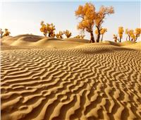 من ضمنها صحراء مصرية.. أجمل 5 صحاري حول العالم