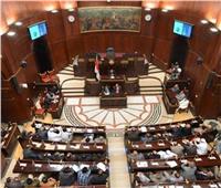 أعضاء التنسيقية يحصدون ٨ مقاعد في انتخابات اللجان النوعية بمجلس الشيوخ