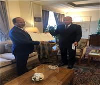 بالصور ....سفير باكستان بالقاهرة مندوباً دائماً لدى جامعة الدول العربية
