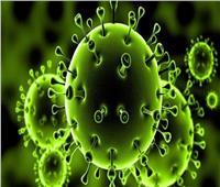 اكتشاف خطير..«فيروس غامض» يهدد البشرية