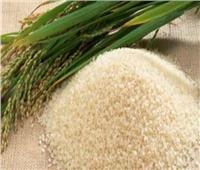«البحوث الزراعية»: حققنا إنجازات عالمية في إنتاج الأرز | فيديو