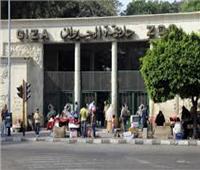 فتح حدائق القاهرة مجانًا اليوم وغدًا احتفالًا بنصر أكتوبر| فيديو