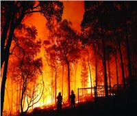 «حرائق الغابات» تدمر آلاف الهكتارات في الأرجنتين