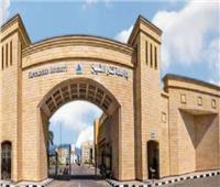 جامعة كفر الشيخ تتصدر الجامعات المصرية في تخصص الهندسة بتصنيف «التايمز»