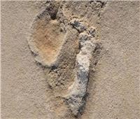اكتشاف آثار أقدام عمرها 6 ملايين عام في اليونان