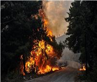 مروحيات بحميميم تكافح حرائق الغابات بسوريا 