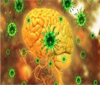 عالم مناعة في أكسفورد: وفيات الإصابات بفيروس نيباه تصل لـ75%