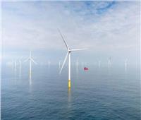 الولايات المتحدة ستبني 7 محطات لتوليد الطاقة من الرياح في عرض البحر
