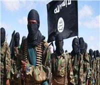 نيجيريا تعلن مقتل زعيم تنظيم داعش الإرهابي بغرب أفريقيا