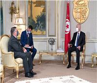 سعيد يبلغ سفير أمريكا غضبه من إدراج الوضع بتونس على جدول الكونجرس