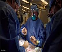 جراحون ينجحون في اختبار زرع «كلية خنزير» في جسم إنسان