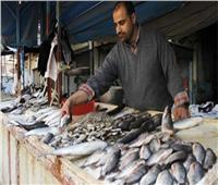 استقرار أسعار الأسماك في سوق العبور.. اليوم الثلاثاء