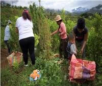 رئيس كولومبيا يطلب الإفراج عن 180 جنديا يحتجزهم مزارعو الكوكايين  