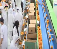 رئيس «المركزية للحجر الزراعي» يوضح أسباب ارتفاع صادرات مصر الزراعية|فيديو