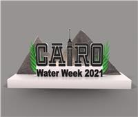 نادر نور الدين: أسبوع القاهرة الدولي للمياه على الأجندة العالمية