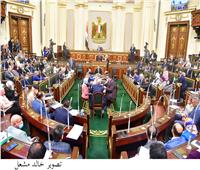 برلماني: قانون حماية المنشأت يهدف للحفاظ على مقدرات الدولة 