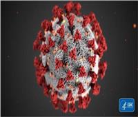 استشاري مناعة: تغير المناخ يتسبب في ظهور فيروسات جديدة | فيديو