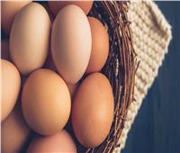 استقرار أسعار البيض في المنافذ الحكومية الأربعاء 3 نوفمبر