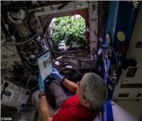 ناسا تنجح في زراعة أول فلفل تشيلي في الفضاء