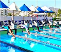  انطلاق منافسات نهائيات كأس العالم للاندية في سباحة الزعانف بشرم الشيخ