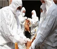 فرنسا تشدد تدابير مكافحة إنفلونزا الطيور مع تفشي الفيروس