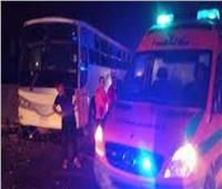 إصابة 12 شخصا في تصادم أتوبيس بقطيع مواشي بطريق «الإسماعيلية - بورسعيد»