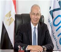اقتصادية قناة السويس: أكثر من 60 شركة مصرية تعمل في ميناء السخنة.. فيديو