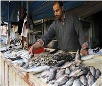 استقرار أسعار الأسماك في سوق العبور الاثنين 8 نوفمبر
