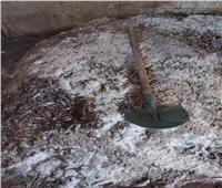 ضبط 10 أطنان سمك مملح فاسد في مخزن مهجور بالسويس