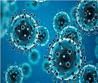 الصحة: تسجيل 921 حالة إيجابية جديدة بفيروس كورونا.. و 56 حالة وفاة