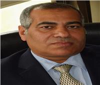 خبير اقتصادي: خدمات البنية الأساسية جعلت مصر أكثر جذبًا للاستثمار