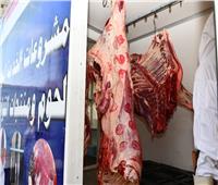 الفيوم : 8 منافذ لبيع اللحوم والسلع الغذائية للمواطنين بأسعار مخفضة  