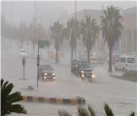 محافظ أسوان: قرى مهددة بالغرق بالكامل بسبب الطقس السيء| فيديو
