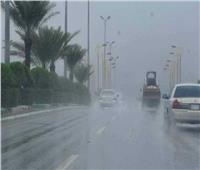 «أمطار غزيرة وشبورة كثيفة».. الأرصاد تعلن موعد عدم استقرار الطقس | فيديو