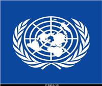 الأمم المتحدة تحتفل باللغة العربية ديسمبر القادم