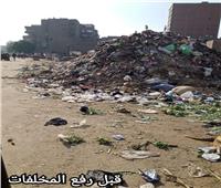 رفع ١٢٠ طن مخلفات قمامة بطريق مدخل القصبجي بحي جنوب الجيزة | صور