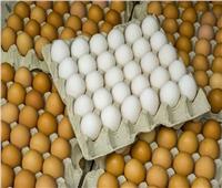 انخفاض أسعار البيض في المزارع اليوم الخميس