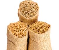 الزراعة: 820 جنيها سعر توريد أردب القمح.. وجميع أنواع البذور متوفرة