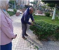 تجميل وتطوير الحدائق ورفع كفاءة الإضاءة بأحياء الإسكندرية 