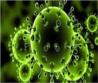 الصحة: تسجيل 892 حالة إيجابية جديدة بفيروس كورونا.. و31 وفاة