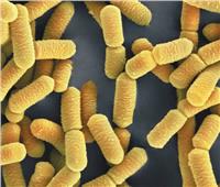 فوائد البكتيريا الجيدة للبشرة