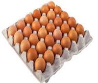 انخفاض أسعار البيض في المزارع الاثنين 22 نوفمبر